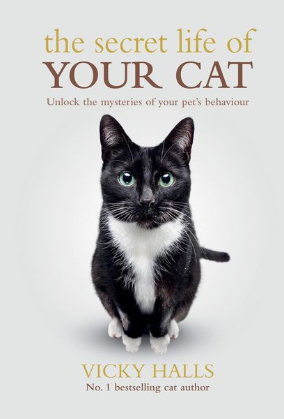 Produktbild: Halls, V: Secret Life Of Your Cat
