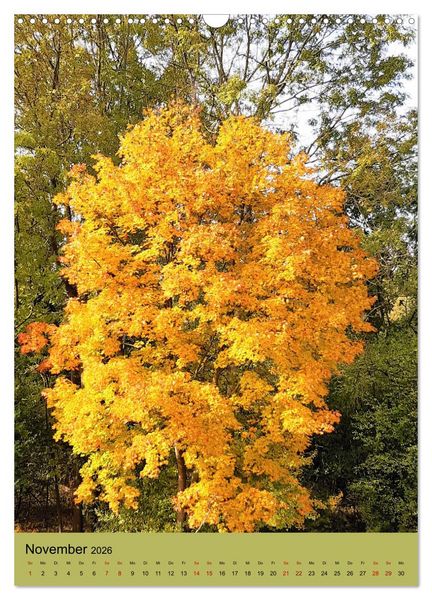Produktbild: Momente des Herbstes (Wandkalender 2026 DIN A3 hoch), CALVENDO Monatskalender
