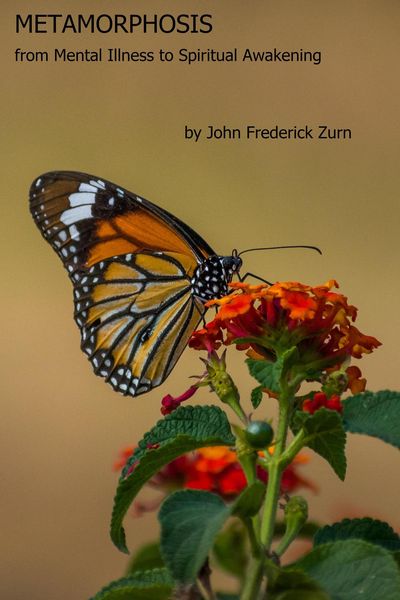 Produktbild: Metamorphosis : from Mental Illness to Spiritual Awakening