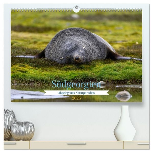 Südgeorgien - Abgelegenes Naturparadies (hochwertiger Premium Wandkalender 2026 DIN A2 quer), Kunstdruck in Hochglanz