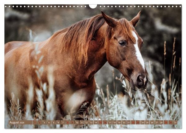 Produktbild: Seelengl&uuml;ck Kalender - Pferde - Charakter, St&auml;rke, Weisheit (Wandkalender 2026 DIN A3 quer), CALVENDO Monatskalender