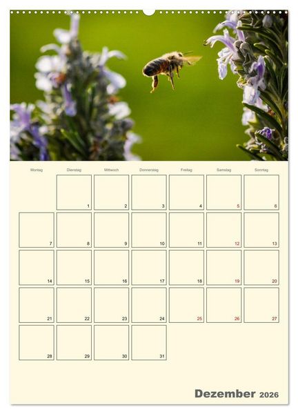 Produktbild: Bienen im Naturgarten (Wandkalender 2026 DIN A2 hoch), CALVENDO Monatskalender