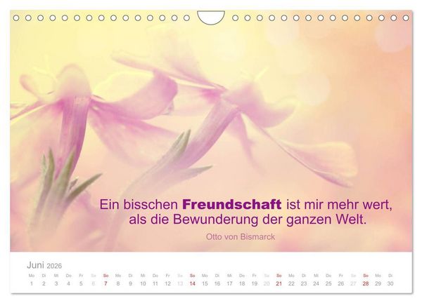 Produktbild: Zauberhafte Spr&uuml;che - Bunte Seelenbl&uuml;ten (Wandkalender 2026 DIN A4 quer), CALVENDO Monatskalender
