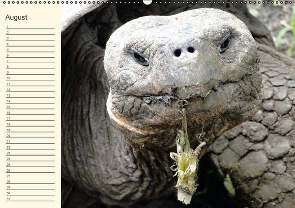 Produktbild: Gal&aacute;pagos Geburtstagskalender (Wandkalender immerw&auml;hrend DIN A2 quer)