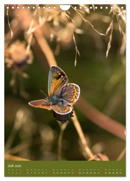 Produktbild: Natur-Romantik (Wandkalender 2026 DIN A4 hoch), CALVENDO Monatskalender