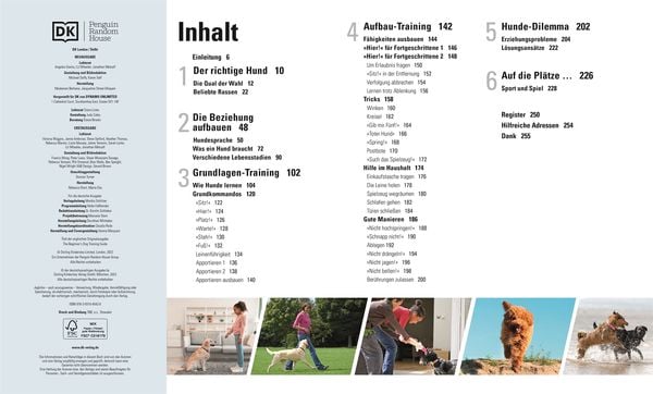Produktbild: Hundeerziehung ganz einfach