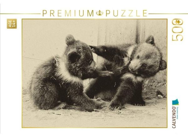 CALVENDO Puzzle Gemeinsam herumtoben | 500 Teile Lege-Größe 48 × 36 cm Foto-Puzzle für Erwachsene