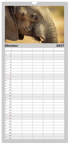 Produktbild: Familienplaner 2027 - Die Augen der Wildnis mit 5 Spalten (Wandkalender, 21 x 45 cm) CALVENDO
