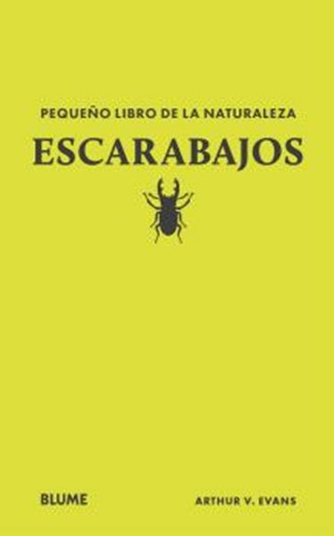Produktbild: Escarabajos