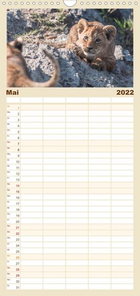Produktbild: L&ouml;wen - Raubkatzen Afrikas - Familienplaner hoch (Wandkalender 2022 , 21 cm x 45 cm, hoch)