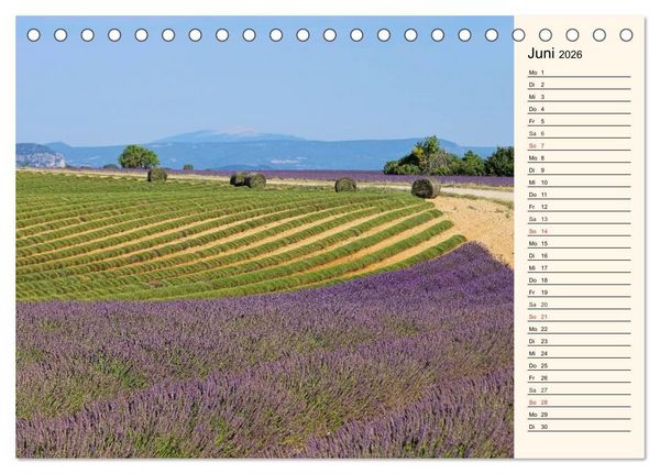 Produktbild: Lavendel (Tischkalender 2026 DIN A5 quer), CALVENDO Monatskalender