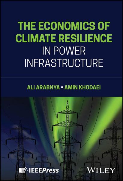 Produktbild: The Economics of Climate Resilience in Power Infrastructure