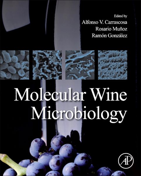 Produktbild: Molecular Wine Microbiology