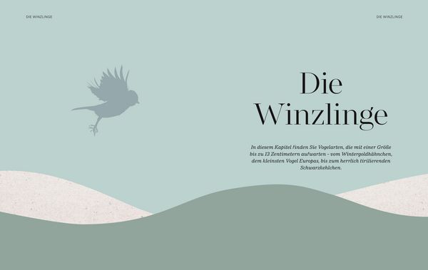 Produktbild: Die magische Welt unserer V&ouml;gel