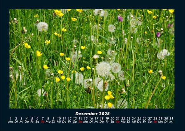 Produktbild: Blumentr&auml;ume 2025 Fotokalender DIN A4