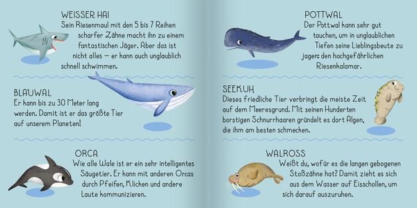 Produktbild: Meine erste Puzzle-Box. Der Ozean