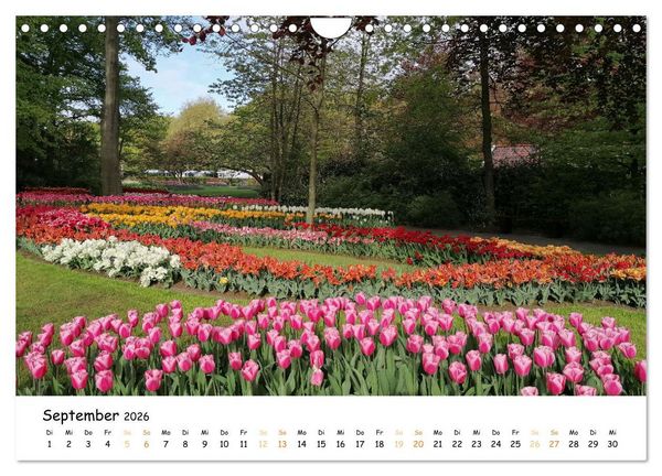 Produktbild: Auf Tour im Land der Tulpen (Wandkalender 2026 DIN A4 quer), CALVENDO Monatskalender