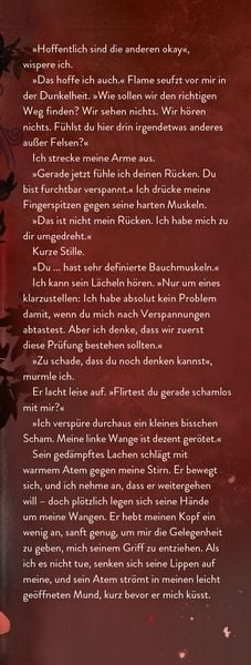 Produktbild: Palace of Ink & Illusions, Band 1 - Der Kuss der Muse
