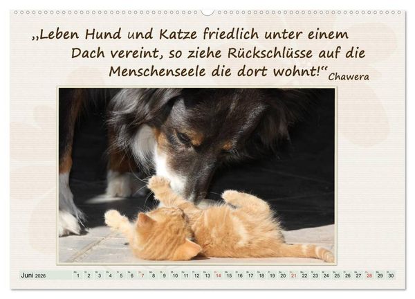 Produktbild: Mit Hundezitaten gut durchs Jahr (hochwertiger Premium Wandkalender 2026 DIN A2 quer), Kunstdruck in Hochglanz