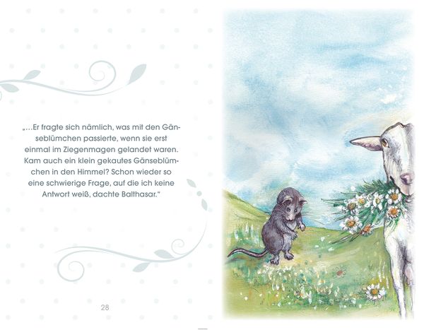 Balthasar – oder kommen Gänseblümchen in den Himmel?