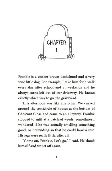 Produktbild: The Magpie Riddle: a Goldfish Boy Mystery