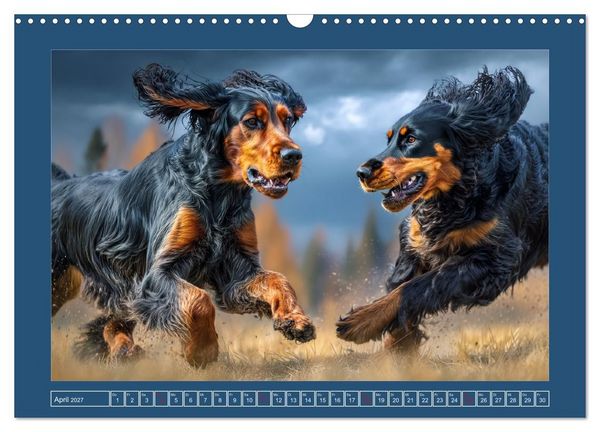 Produktbild: Gordon Setter. Edle Seelen in der Natur (Wandkalender 2027 DIN A3 quer), CALVENDO Monatskalender