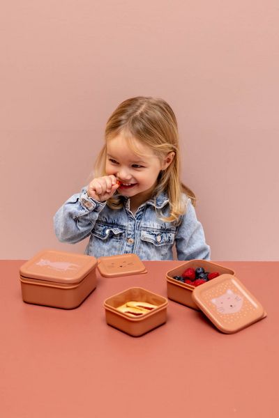 Produktbild: Snackbox - 3er-Set - Mrs. Cat