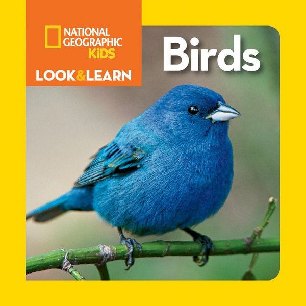 Produktbild: National Geographic Kids Look & Learn: Birds