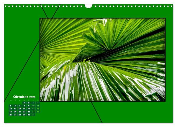 Produktbild: Heilende Farbe Gr&uuml;n (Wandkalender 2026 DIN A3 quer), CALVENDO Monatskalender