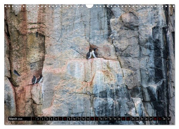Produktbild: Impressions of Svalbard (Wall Calendar 2026 DIN A3 landscape), CALVENDO 12 Month Wall Calendar