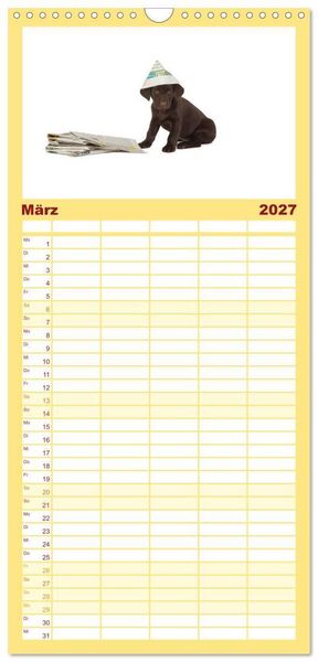 Produktbild: Familienplaner 2027 - Labrador - Welpen mit 5 Spalten (Wandkalender, 21 x 45 cm) CALVENDO