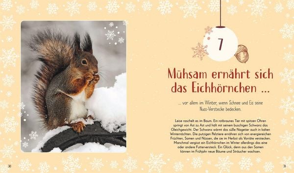 Produktbild: Wundervolle Welt. Adventskalender