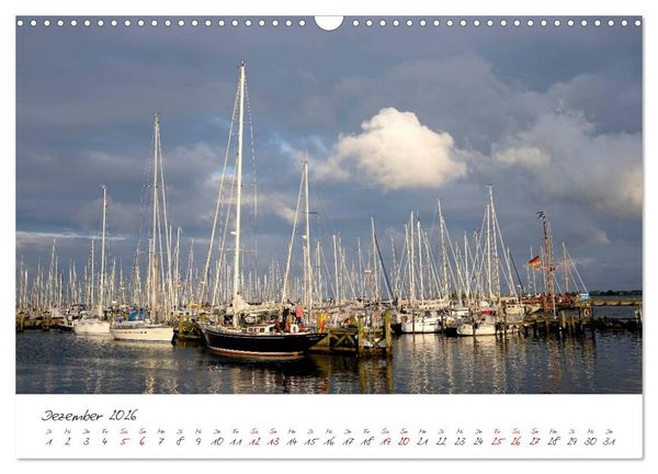Produktbild: Maasholm - der Fischerort an Schlei und Ostsee (Wandkalender 2026 DIN A3 quer), CALVENDO Monatskalender