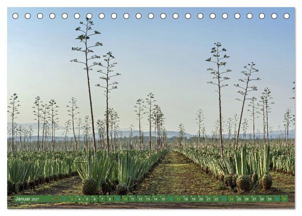 Produktbild: SISAL - von der Pflanze zum Produkt (Tischkalender 2027 DIN A5 quer), CALVENDO Monatskalender