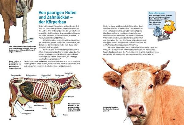 Produktbild: Entdecke die K&uuml;he