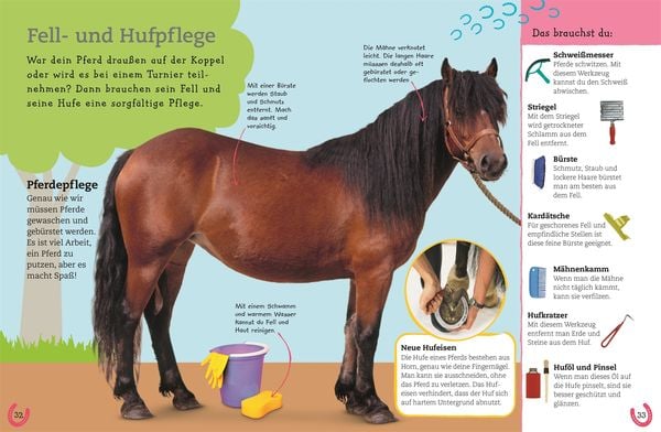 Produktbild: Pferde und Ponys