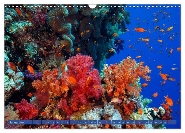 Produktbild: Farbenfrohes Meer (Wandkalender 2027 DIN A3 quer), CALVENDO Monatskalender