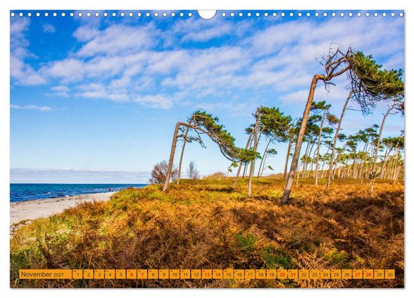 Produktbild: Wilder Dar&szlig;er Weststrand (Wandkalender 2027 DIN A3 quer), CALVENDO Monatskalender