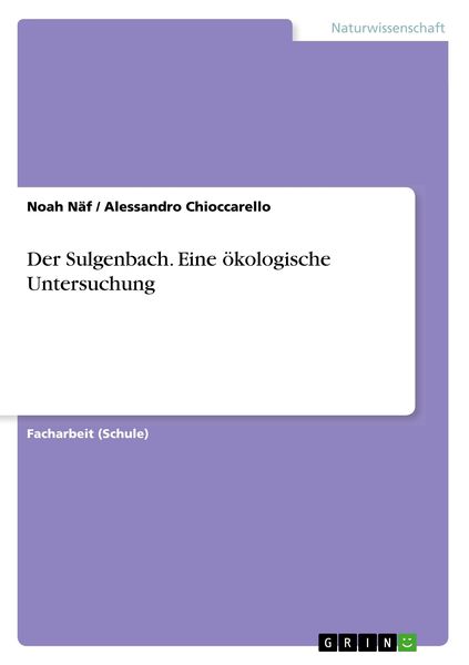 Produktbild: Der Sulgenbach. Eine &ouml;kologische Untersuchung