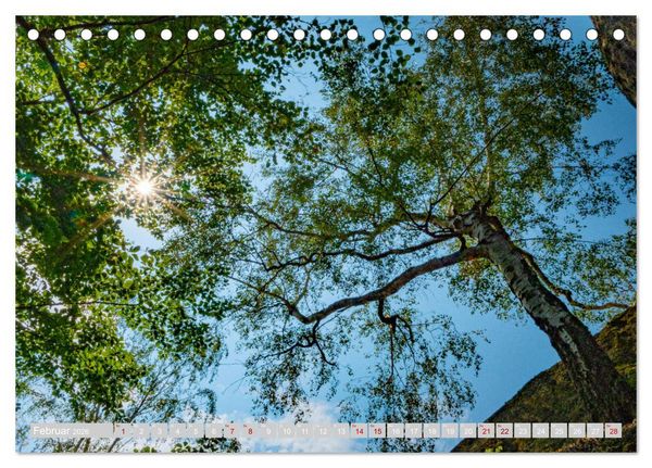 Produktbild: Naturpark Zittauer Gebirge (Tischkalender 2026 DIN A5 quer), CALVENDO Monatskalender