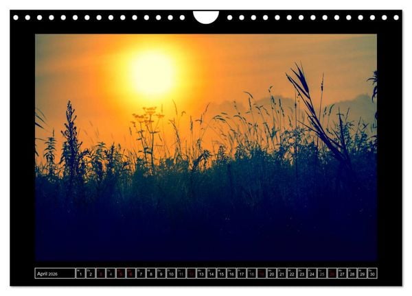 Produktbild: Lichtlandschaft Worpswede (Wandkalender 2026 DIN A4 quer), CALVENDO Monatskalender