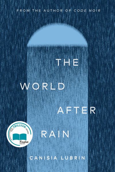 Produktbild: Lubrin, C: World After Rain