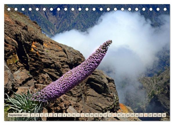 Produktbild: Magic Moments - LA PALMA (Tischkalender 2027 DIN A5 quer), CALVENDO Monatskalender
