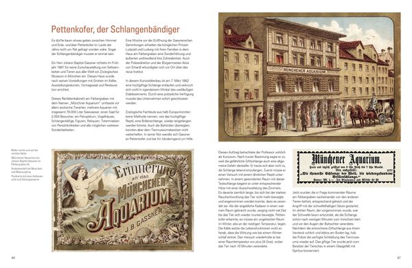 Produktbild: Meine Verehrung Exzellenz !