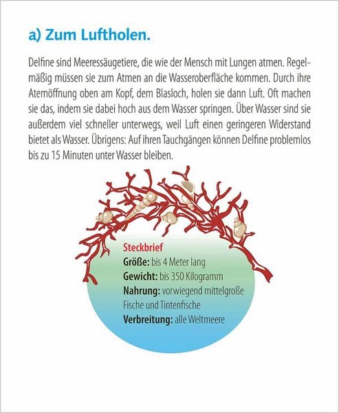 Produktbild: Wie faul ist das Faultier? 2027