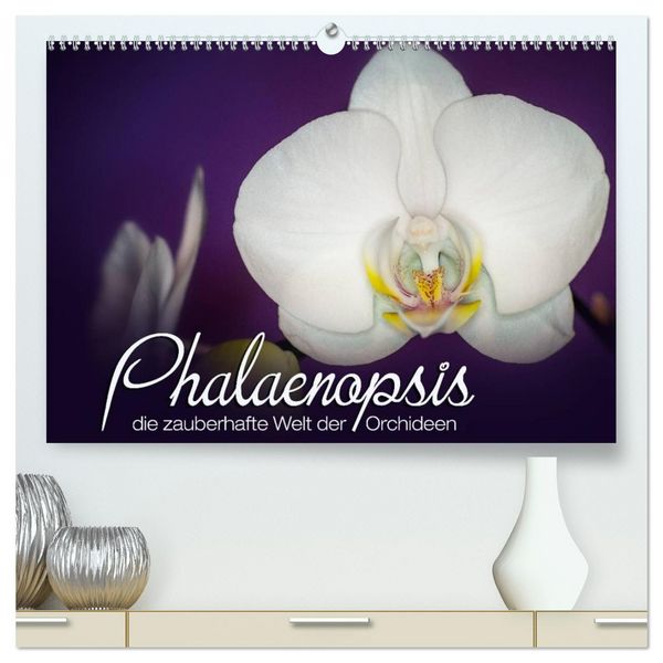 Produktbild: Phalaenopsis - die zauberhafte Welt der Orchideen (hochwertiger Premium Wandkalender 2026 DIN A2 quer), Kunstdruck in Hochglanz