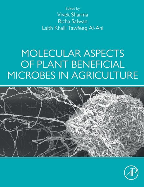 Produktbild: Molecular Aspects of Plant Beneficial Microbes in Agriculture