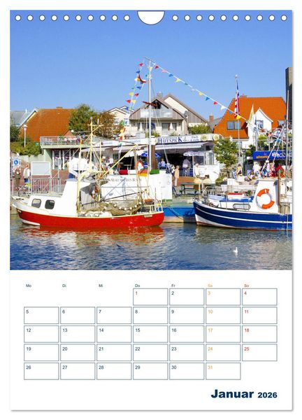 Produktbild: Vielseitiges B&uuml;sum (Wandkalender 2026 DIN A4 hoch), CALVENDO Monatskalender
