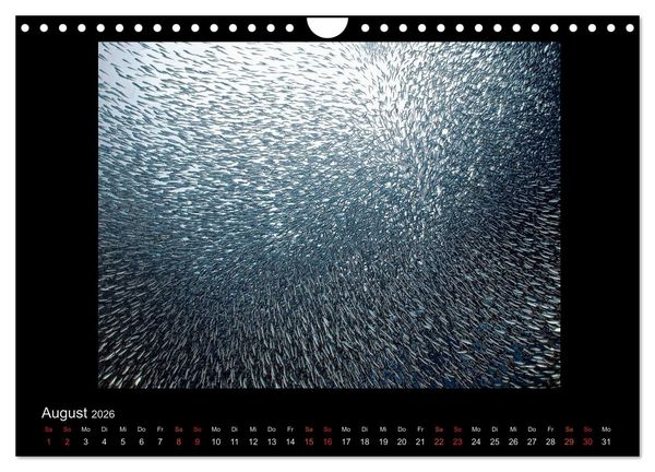 Produktbild: Ocean-Art / CH-Version (Wandkalender 2026 DIN A4 quer), CALVENDO Monatskalender