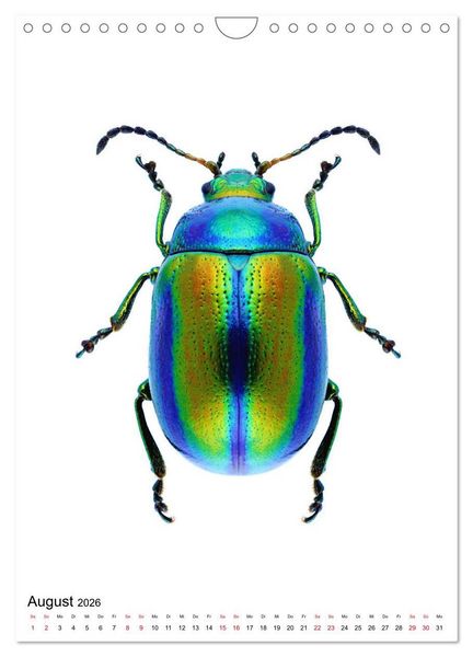 Produktbild: Die sch&ouml;nsten Insekten (Wandkalender 2026 DIN A4 hoch), CALVENDO Monatskalender
